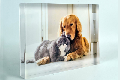 Foto auf Acrylblock
