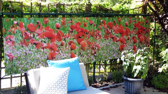 Gartenposter mit Mohnblumen.