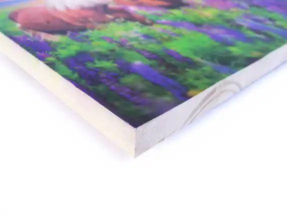 Buntes Foto auf Gerüstholz ergibt einen schönen Kontrast zum Holz.