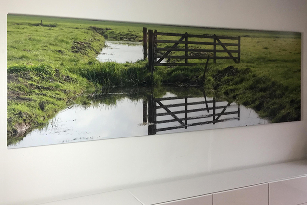 Acrylfoto 