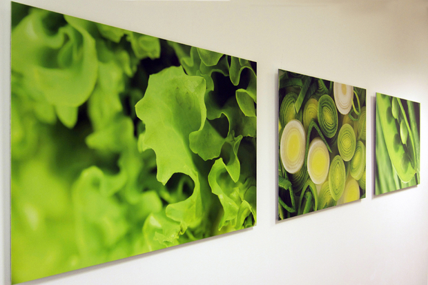 Foto op aluminium hogh end