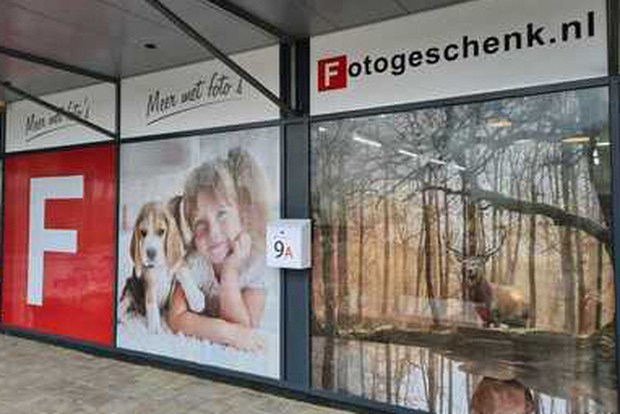 Fotogeschenk-Fensteraufkleber sind von sehr hoher Qualität und eignen sich für Innenfenster, Glasfassaden und -türen sowie für die Außenfenster